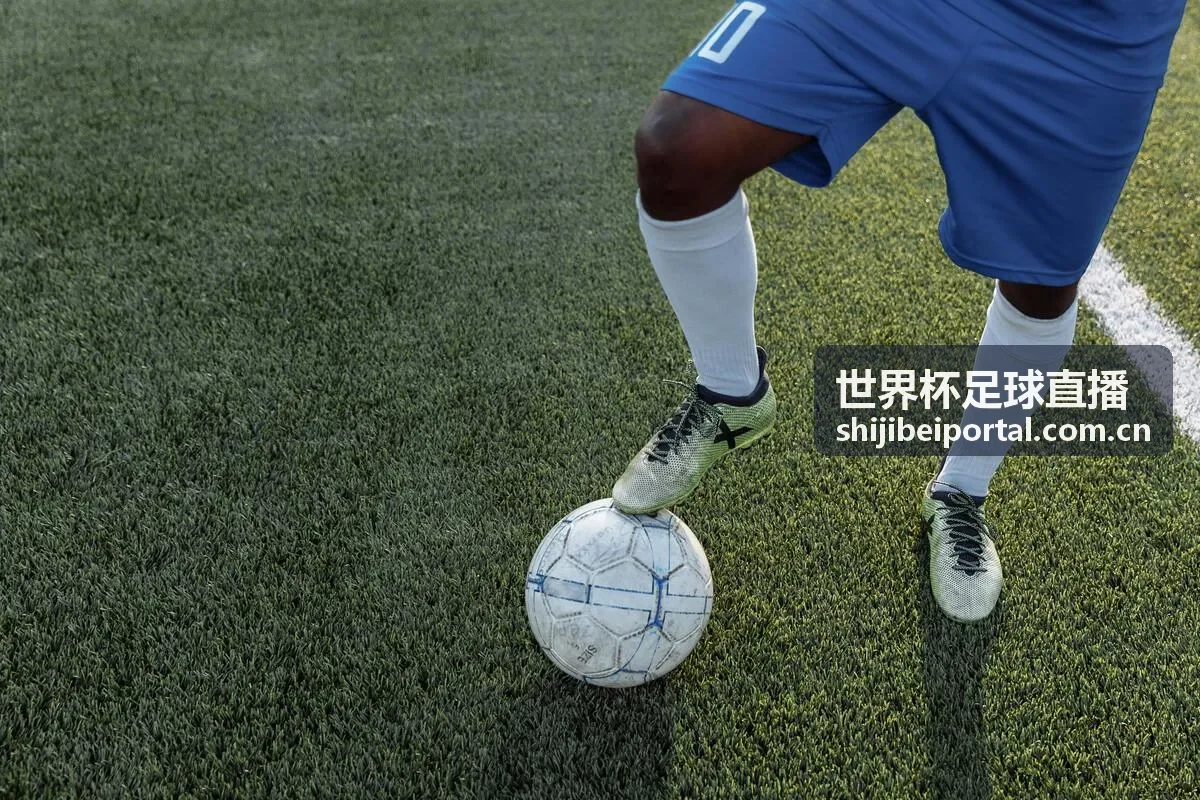 世界杯足球直播 德甲联赛封面